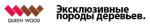Экзотическое дерево